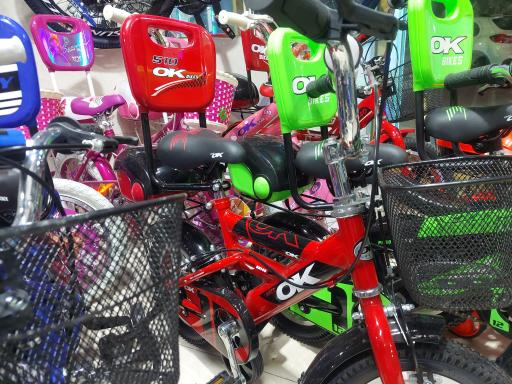 عکس فروشگاه دوچرخه دماوند