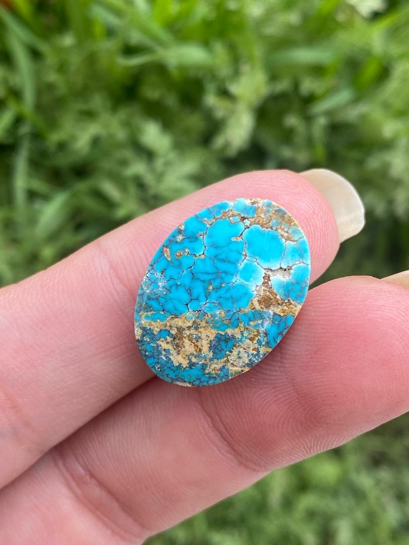 عکس گالری فیروزه ای