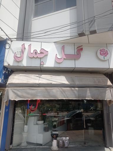 عکس گل جمال