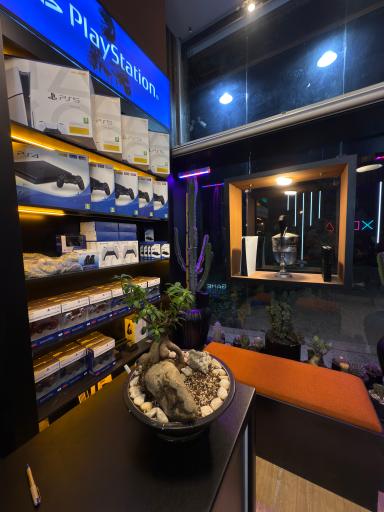 عکس گیم گلاب