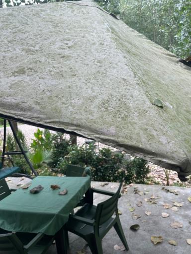 عکس باغ میجان