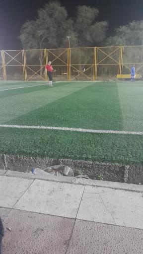 عکس زمین چمن مصنوعی 24متری