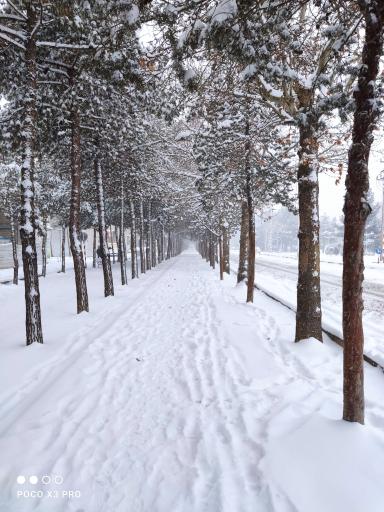 عکس زیباشهر