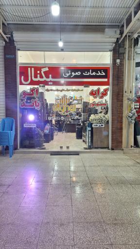 خدمات صوتی سیگنال