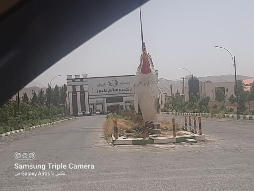 کشتارگاه زنجیره  سالم طیور