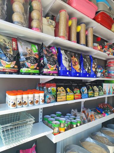 عکس پت شاپ پشمالو ها شعبه 2