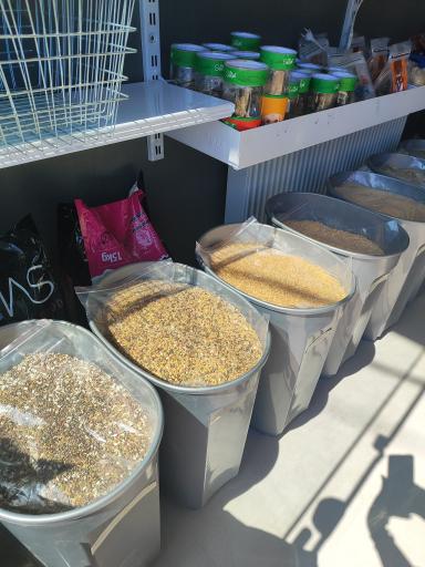 عکس پت شاپ پشمالو ها شعبه 2