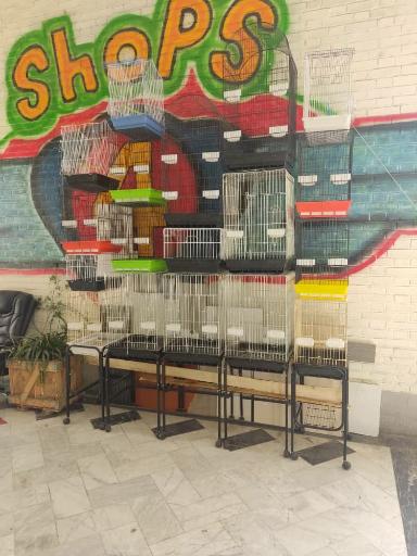 عکس پت شاپ احسان 