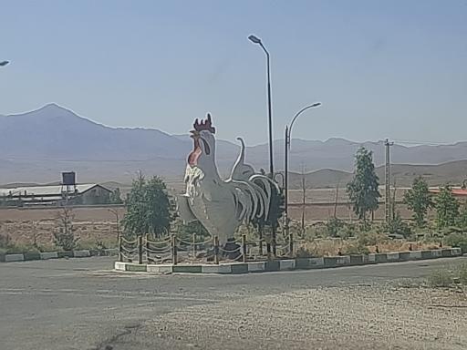 عکس کشتارگاه زنجیره  سالم طیور