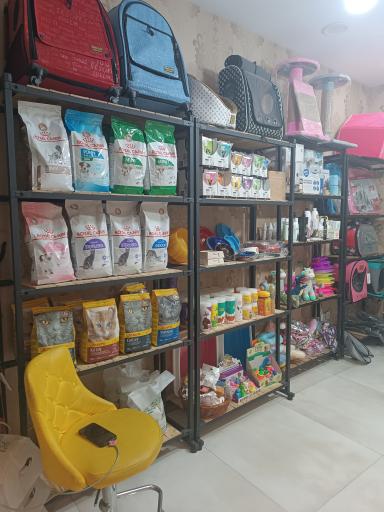 عکس کلینیک دامپزشکی نیل پت