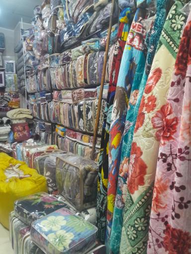 عکس کالای خواب دریا
