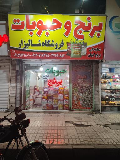 عکس برنج شالیزار