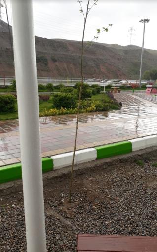 عکس ورودی‌ مجموعه فرهنگی تفریحی دریاچه‌ لواسان