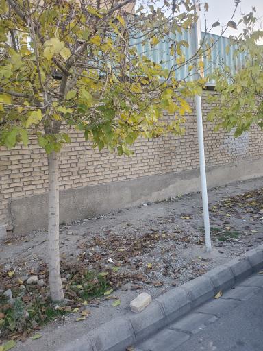 عکس  برادران شهید حسینی14