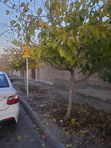 عکس  برادران شهید حسینی14