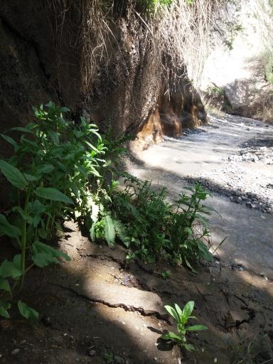 عکس دره سنگی