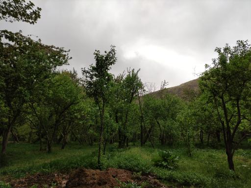 عکس دره سنگی