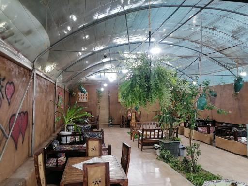 عکس بستنی بیشه