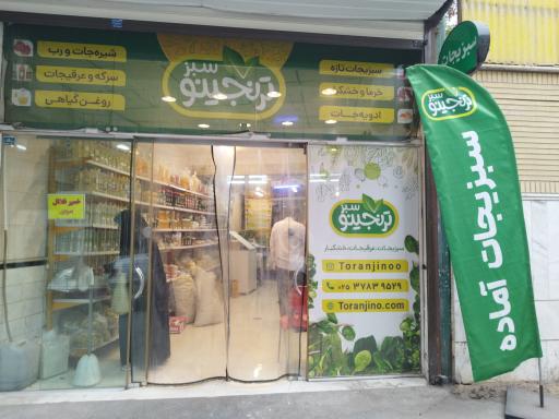عکس سبزیجات آماده ترنجینو
