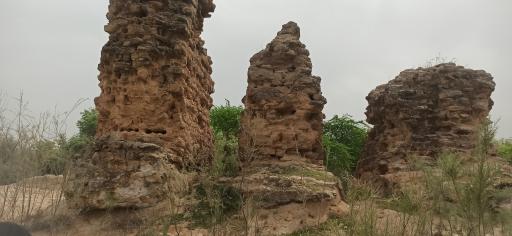 عکس بند ماهی بازان