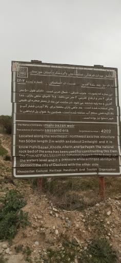 عکس بند ماهی بازان
