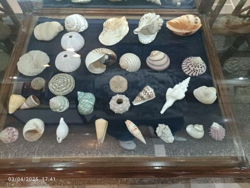 عکس موزه آستان حضرت عبدالعظیم حسنی