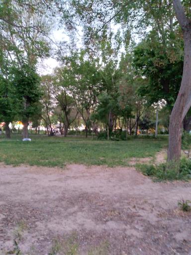 عکس بوستان امیرکبیر
