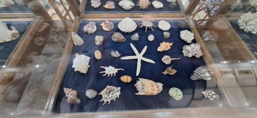 عکس موزه آستان حضرت عبدالعظیم حسنی