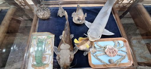 عکس موزه آستان حضرت عبدالعظیم حسنی