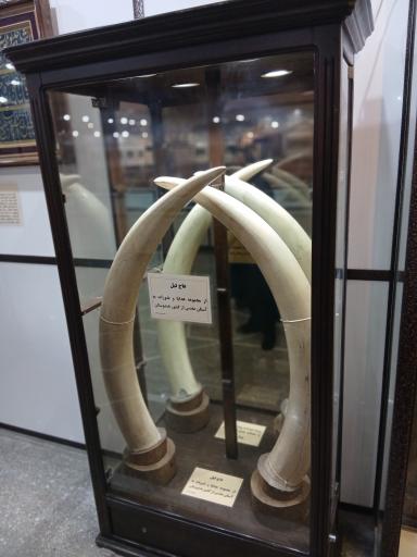 عکس موزه آستان حضرت عبدالعظیم حسنی