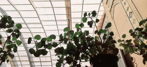 عکس مسجد امام حسین (ع)