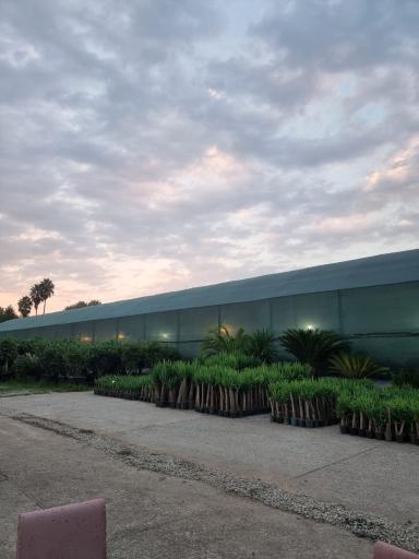 عکس گلخانه خدادادی