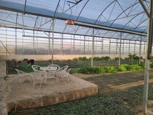 عکس گلخانه بوستان ریحان