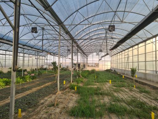 عکس گلخانه بوستان ریحان