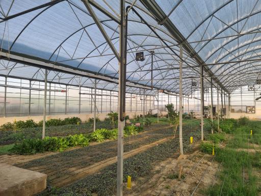 عکس گلخانه بوستان ریحان