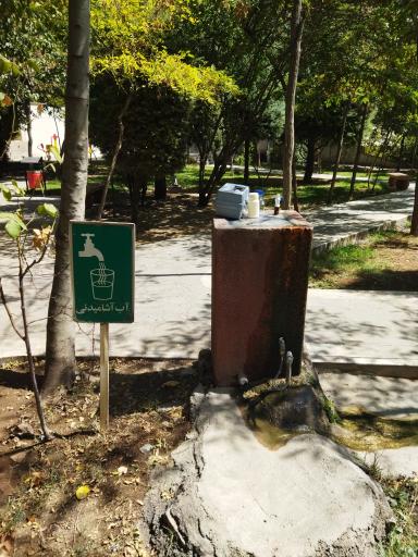 عکس بوستان علوی