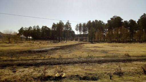 عکس محل برگزاری جشن‌های 2500 ساله