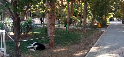 عکس پارک ملت بجستان