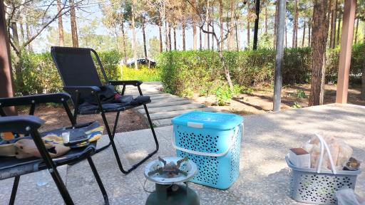 عکس پارک ملت بجستان