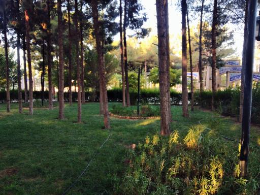 عکس پارک ملت بجستان