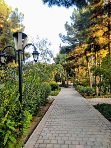 عکس پارک ملت بجستان