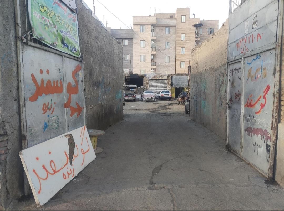 عکس فروش دام زنده یاری