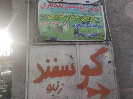 عکس فروش دام زنده یاری