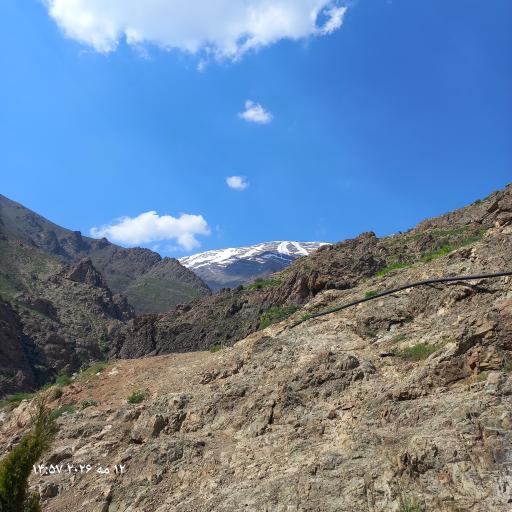 عکس پناهگاه پلنگ چال