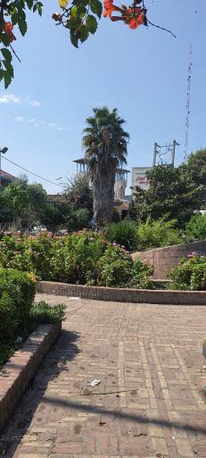 عکس پارک چوبی