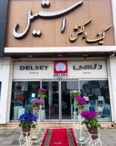 عکس کیف و کفش استیل