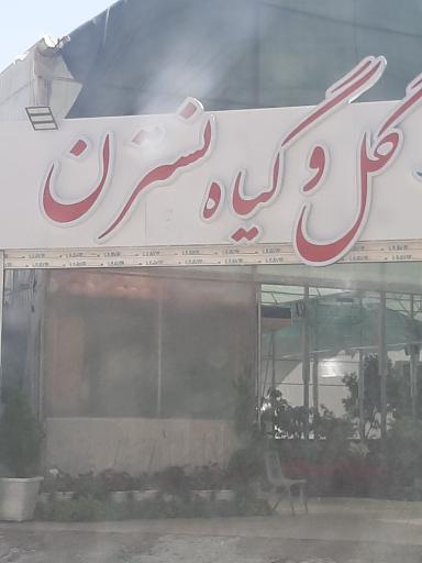 گل و گیاه نسترن