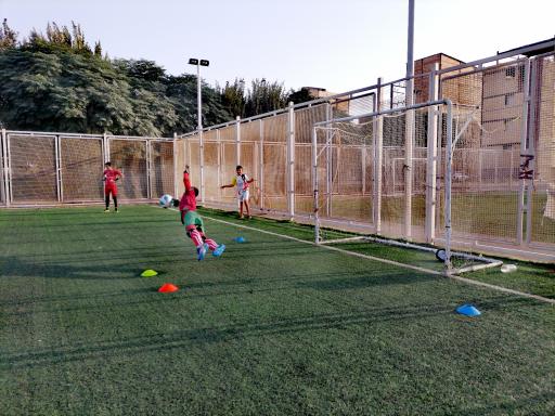 عکس زمین چمن توس ۶۳