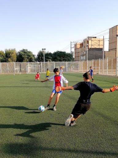 عکس زمین چمن توس ۶۳