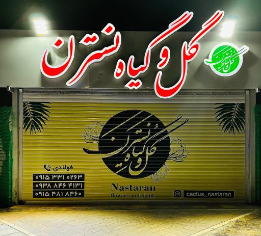 عکس گل و گیاه نسترن